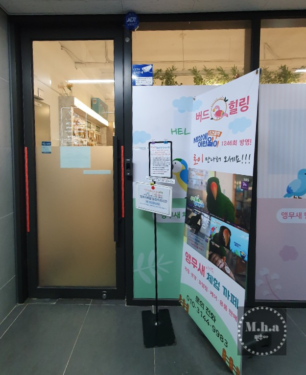 배곧 버드 힐링