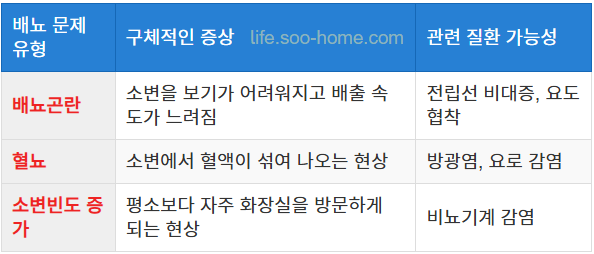 배뇨 문제와 관련된 초기 증상