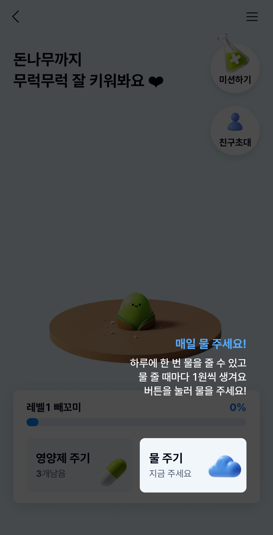 돈나무 키우기 매일 물주기 컷.