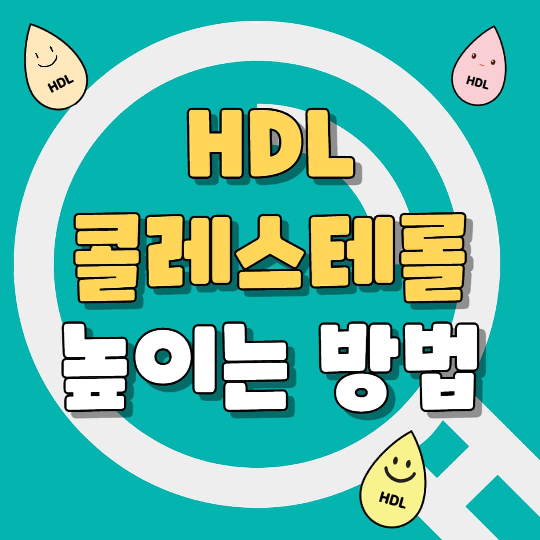 HDL콜레스테롤높이는 방법