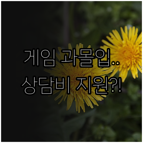 게임 과몰입 상담비 지원 2025 전..