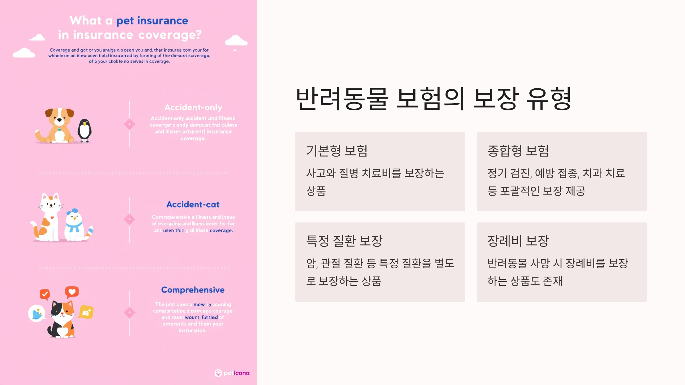 반려동물 보험의 보장 유형
