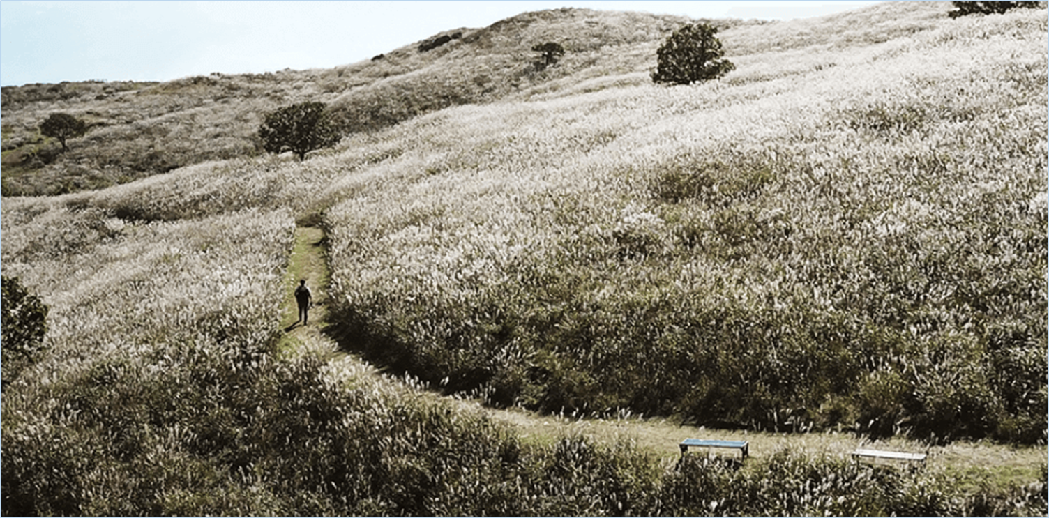 황매산-억새축제