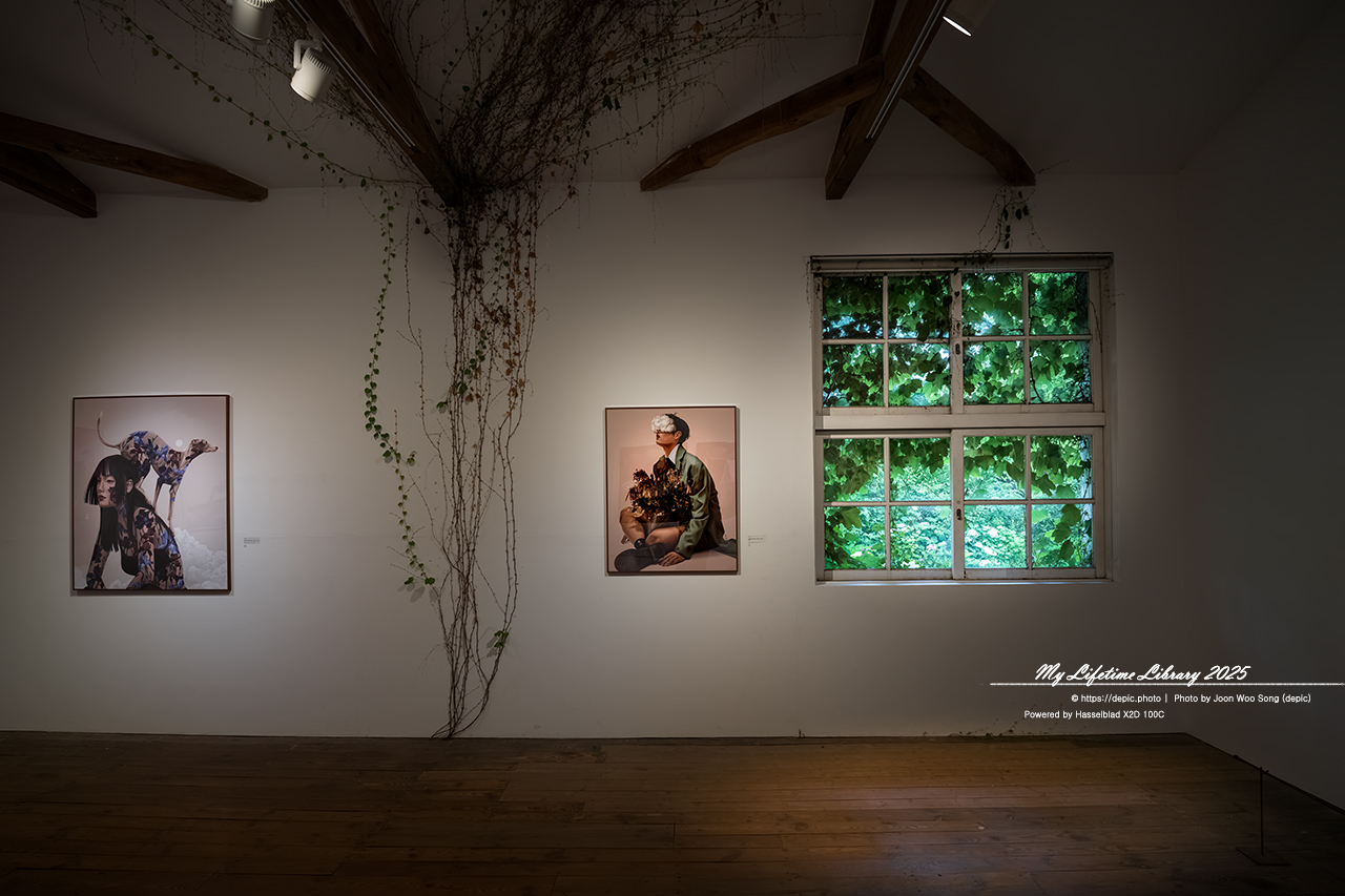 #당진 #예술 #아미미술관 #폐교 #미술관