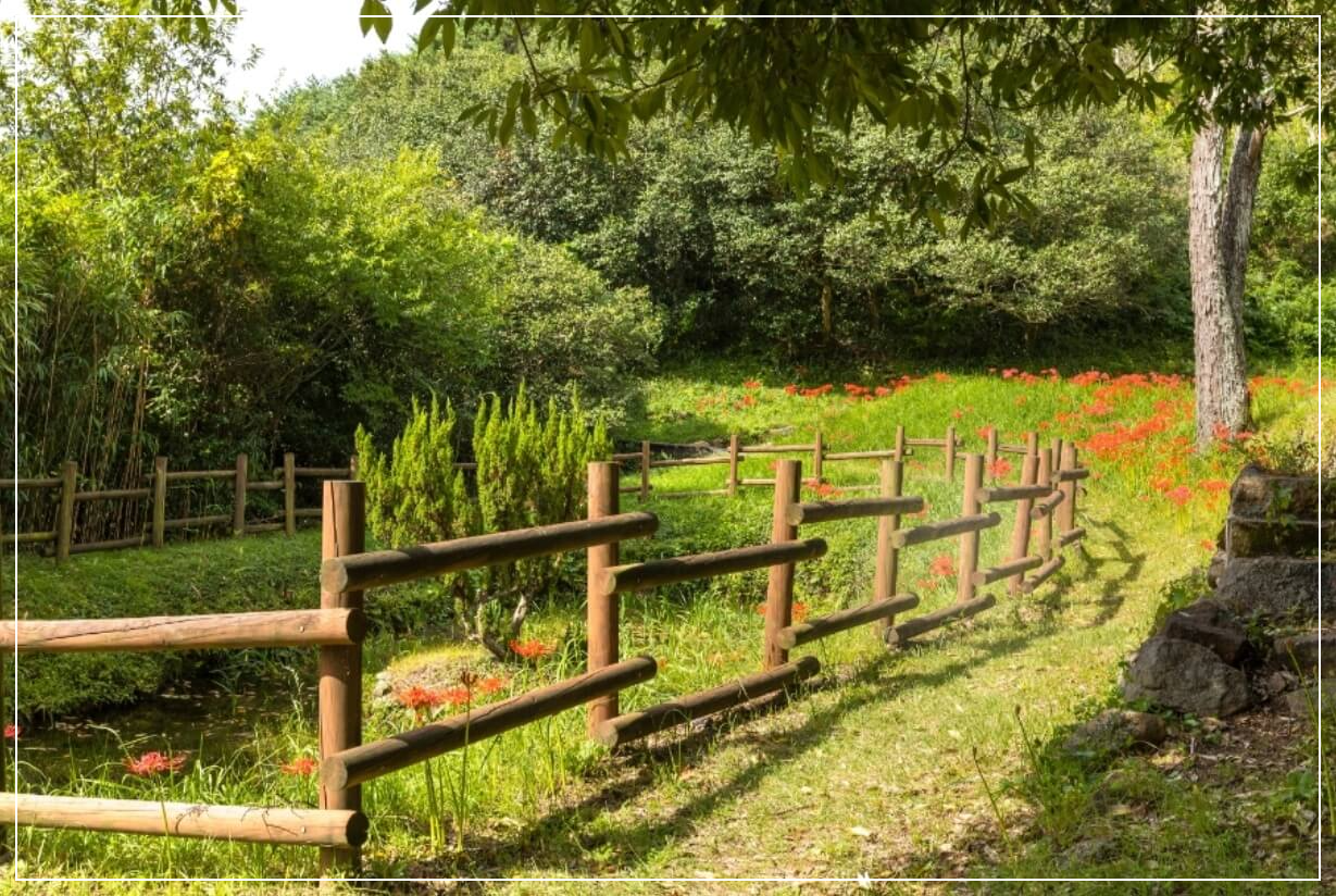 광양 가볼만한곳 베스트10 옥룡사지 동백나무숲