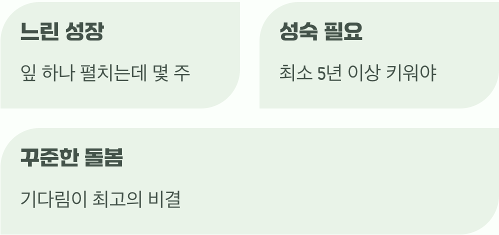 가장 위대한 거름, 시간