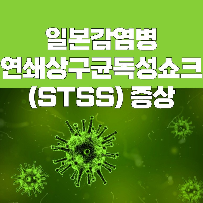 연쇄상구균독성쇼크증후군(STSS)증상