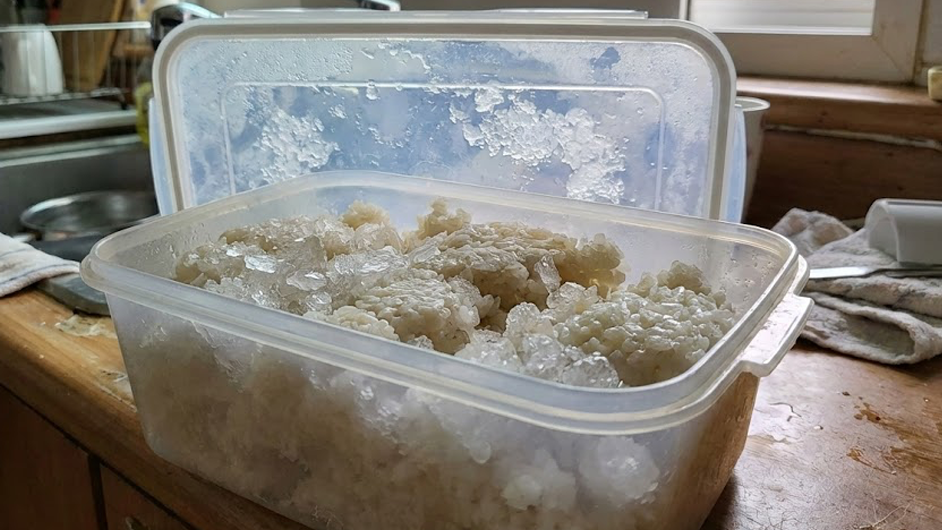 냉동된 밥 사진