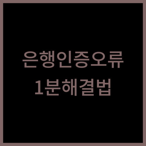 KB국민은행 생체 인증 오류와 공동인..