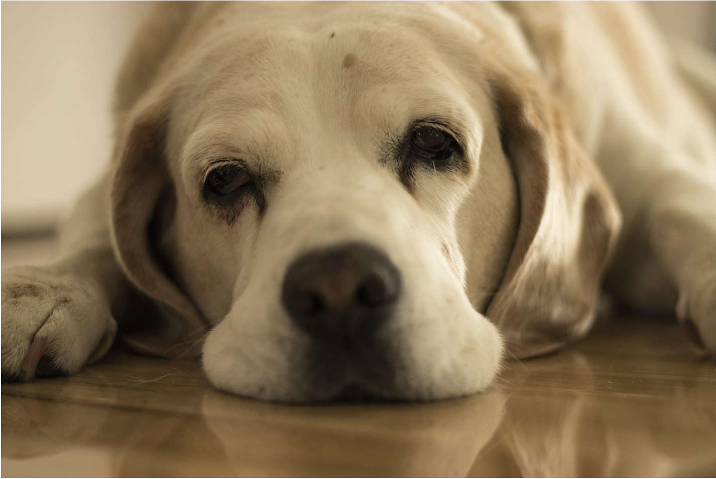 의욕이 떨어졌을 때, 해야 할 단 하나의 행동
