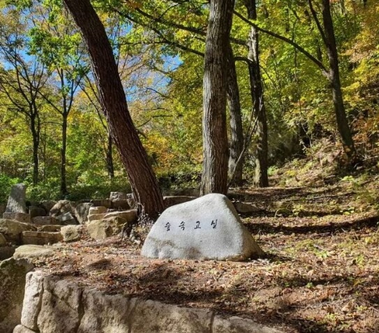 김천 가볼만한곳 베스트 10