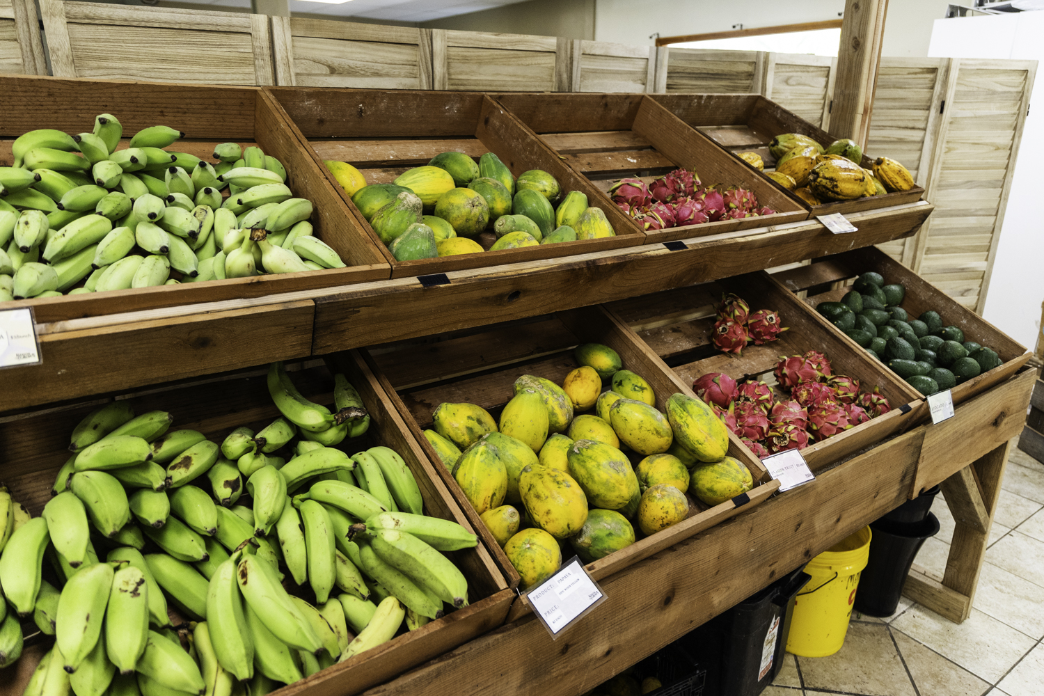 쿠알로아랜치 유기농 마켓