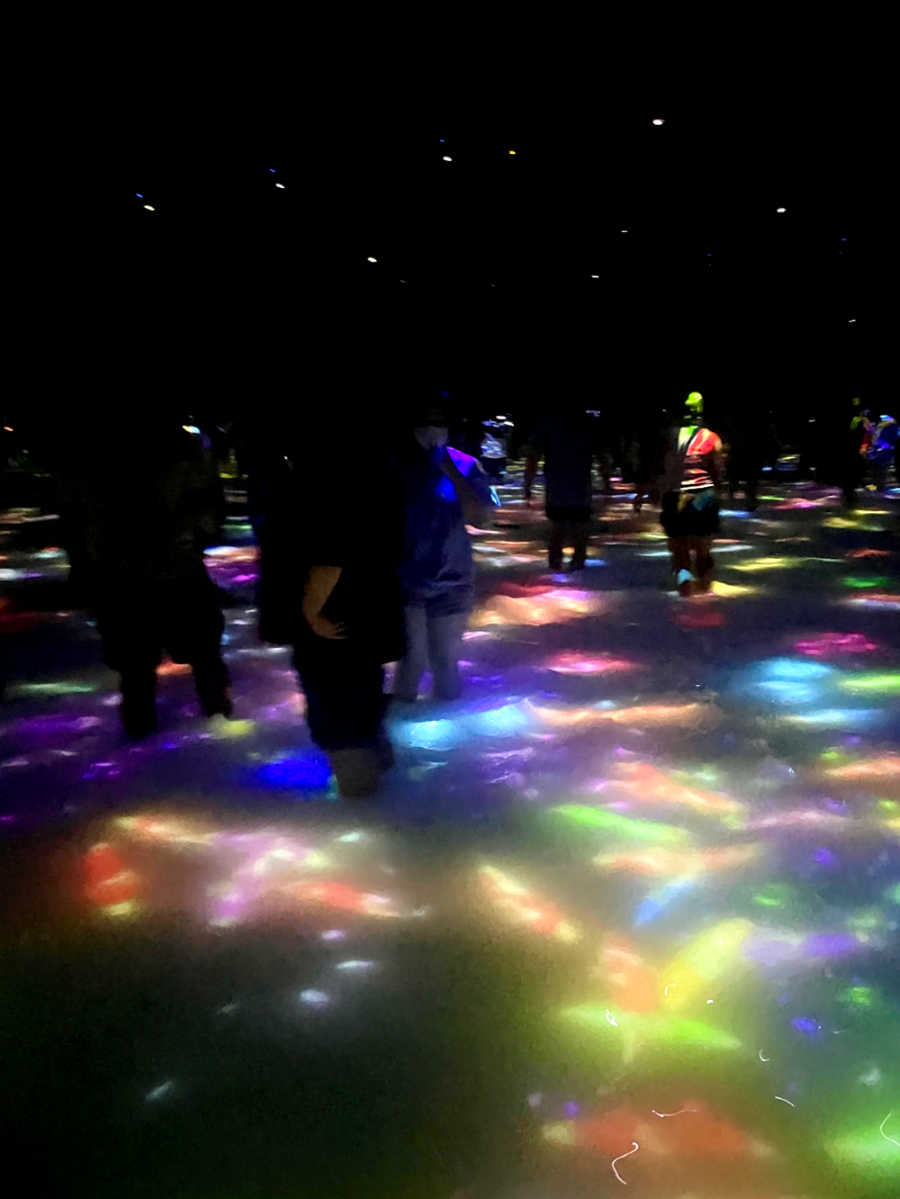 일본 도쿄 팀랩 플래닛 여행-사람과 함께 춤추는 잉어가 그리는 수면 위의 드로잉