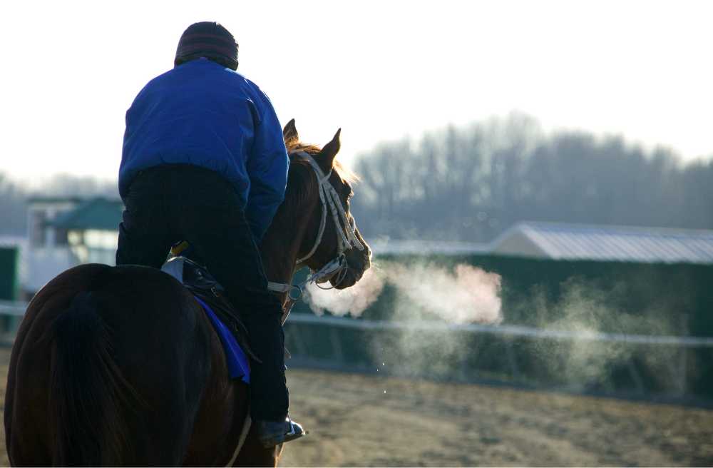 경주마에게 눈가리개를 씌우는 이유