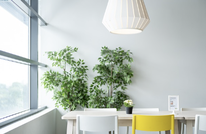 미니멀리즘과 정신건강