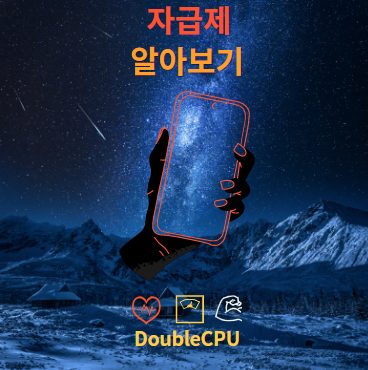 자급제
