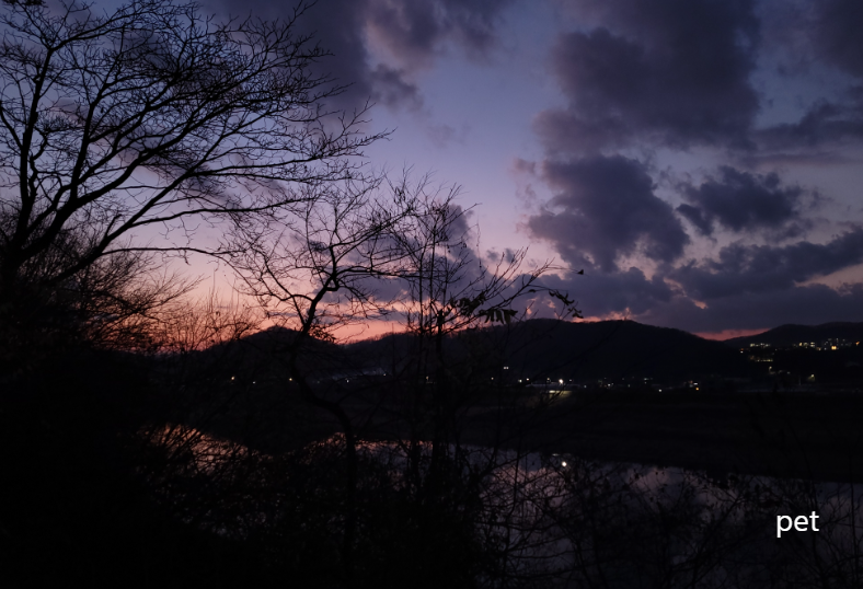 경기-파주-강나루야영-예약-방법-애견-동반-가격-주소-시간-후기