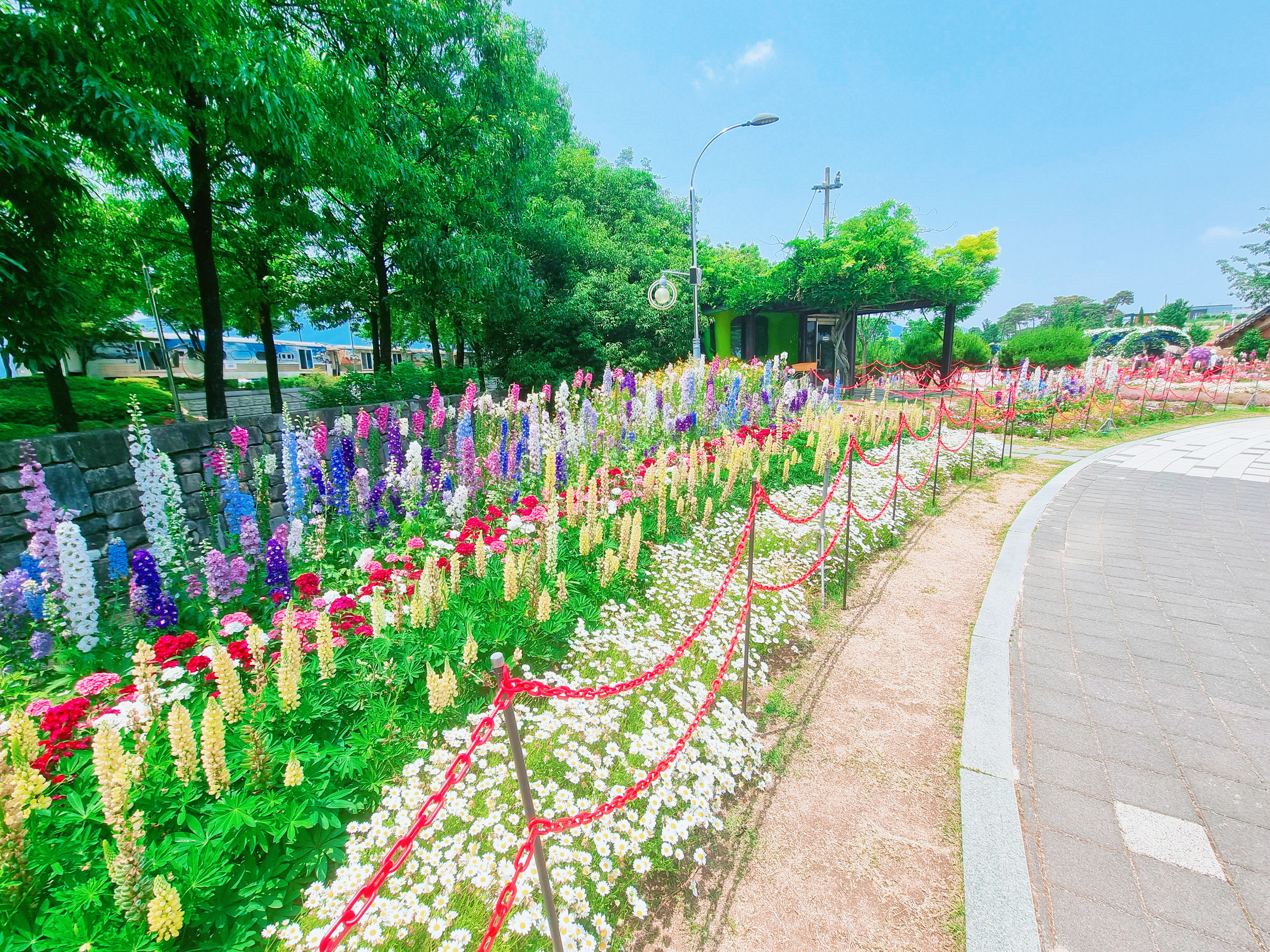 곡성 기차마을 장미공원 사진