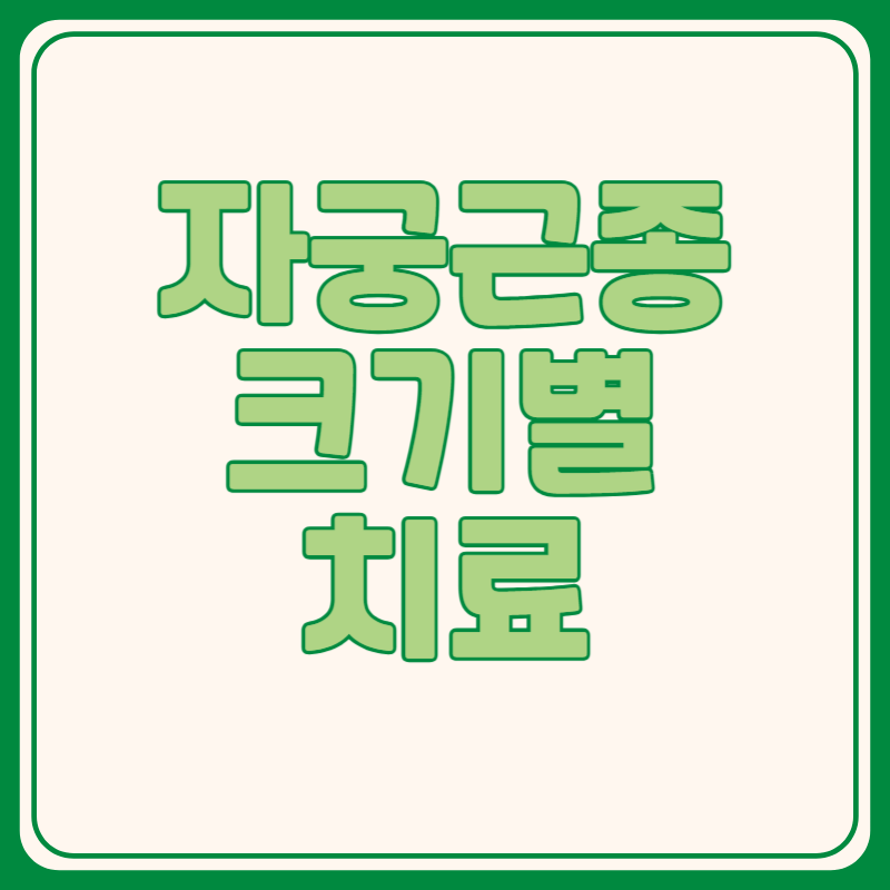 자궁근종 크기별 치료
