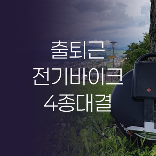내게 맞는 전기바이크는 무엇 출퇴근부..