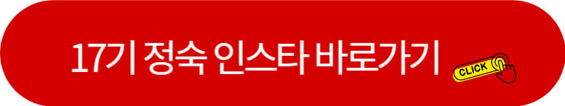 나는-솔로-17기-정숙-인스타-바로가기