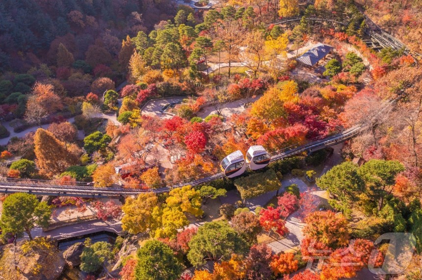 화담숲 예약 방법과 방문 팁 총정리