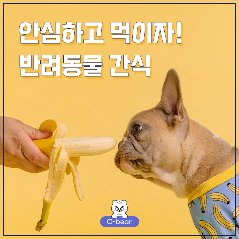 안심하고 먹이자 반려동물 간식
