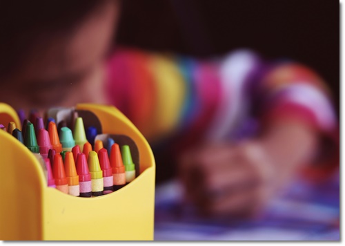 개별화교육 협의회