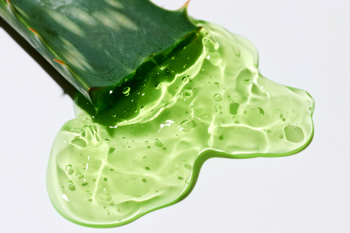 알로에서 흘러나온 젤