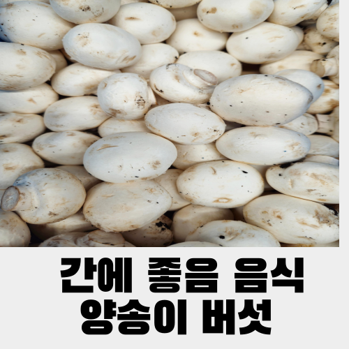 간에좋음 음식