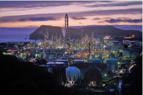 대기오염 없는 도시, 공기정화 숲과 그린 인프라의 힘