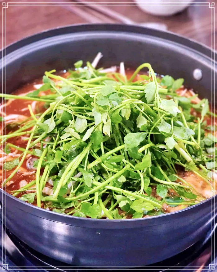 TJB 생방송투데이 김해, 인제대 샤브샤브 손칼국수 맛집