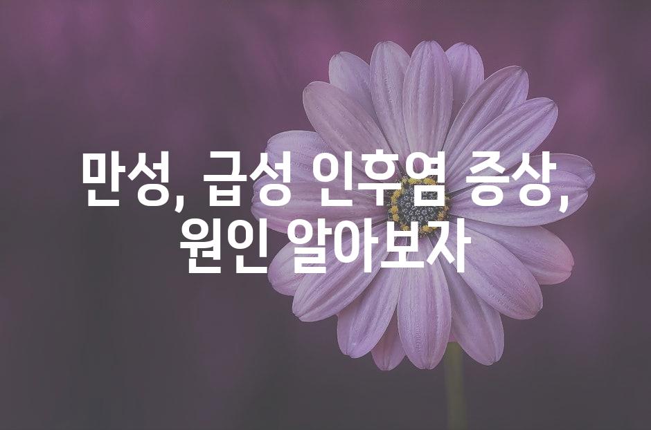 샘플 (50)