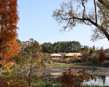 천리포수목원_8