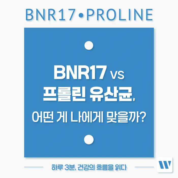 BNR17 유산균과 프롤린 유산균 효능 비교