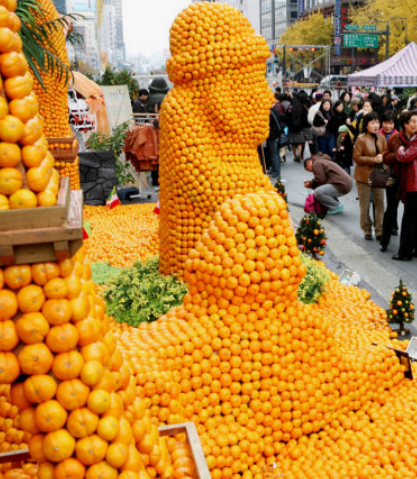 감귤 축제 관련 사진