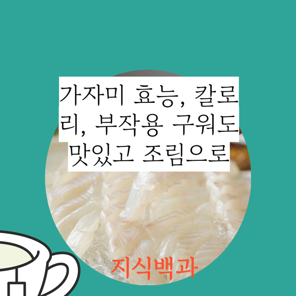 가자미 효능, 칼로리, 부작용 구워도 맛있고 조림으로