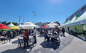 연천 고려인삼축제