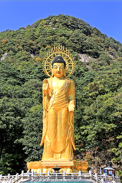 보은 가볼만한곳 베스트10