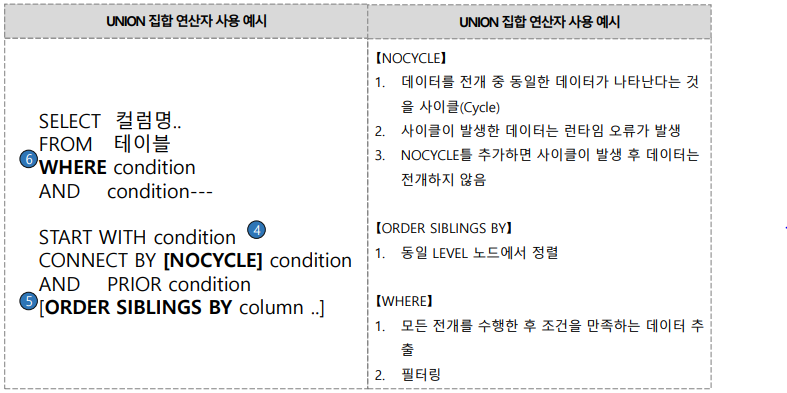Oracle 계층형 질의