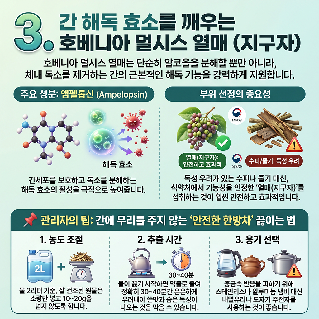 간 해독 효소를 깨우는 헛개나무 열매 (지구자)