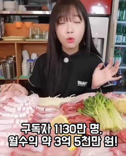 쯔양 수입 공개