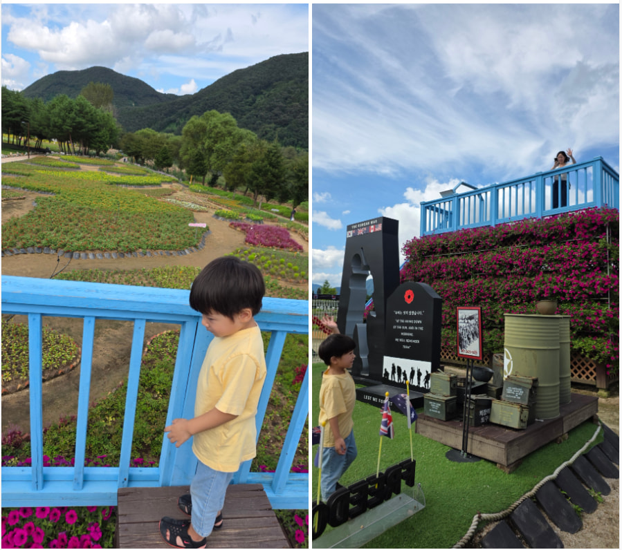 자라섬 (2025 꽃 페스타)