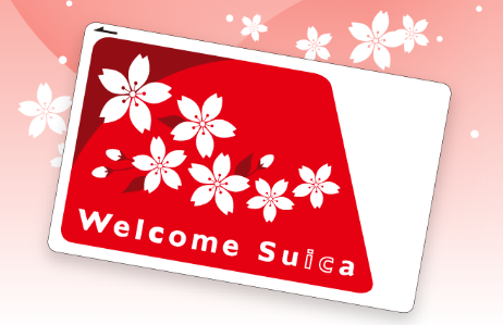 스이카 알아보기