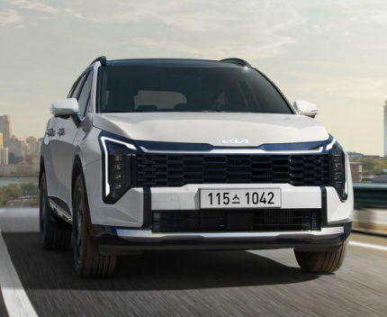 25년 12월 자동차 판매량 순위