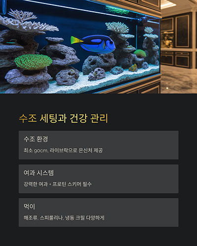 수조 세팅과 건강 관리