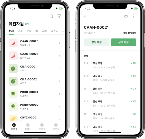 디지털 육종, 육종