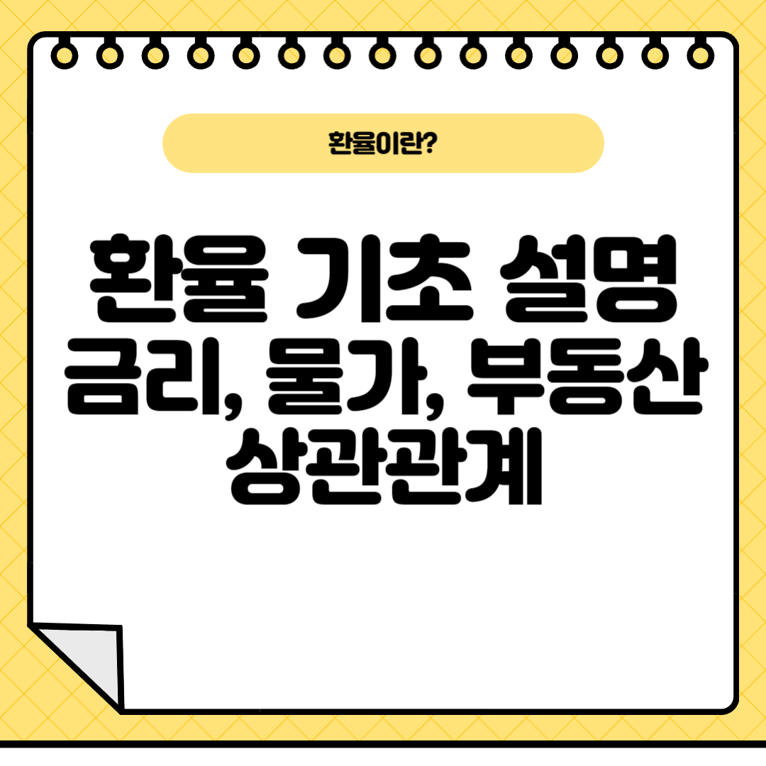 환율기초