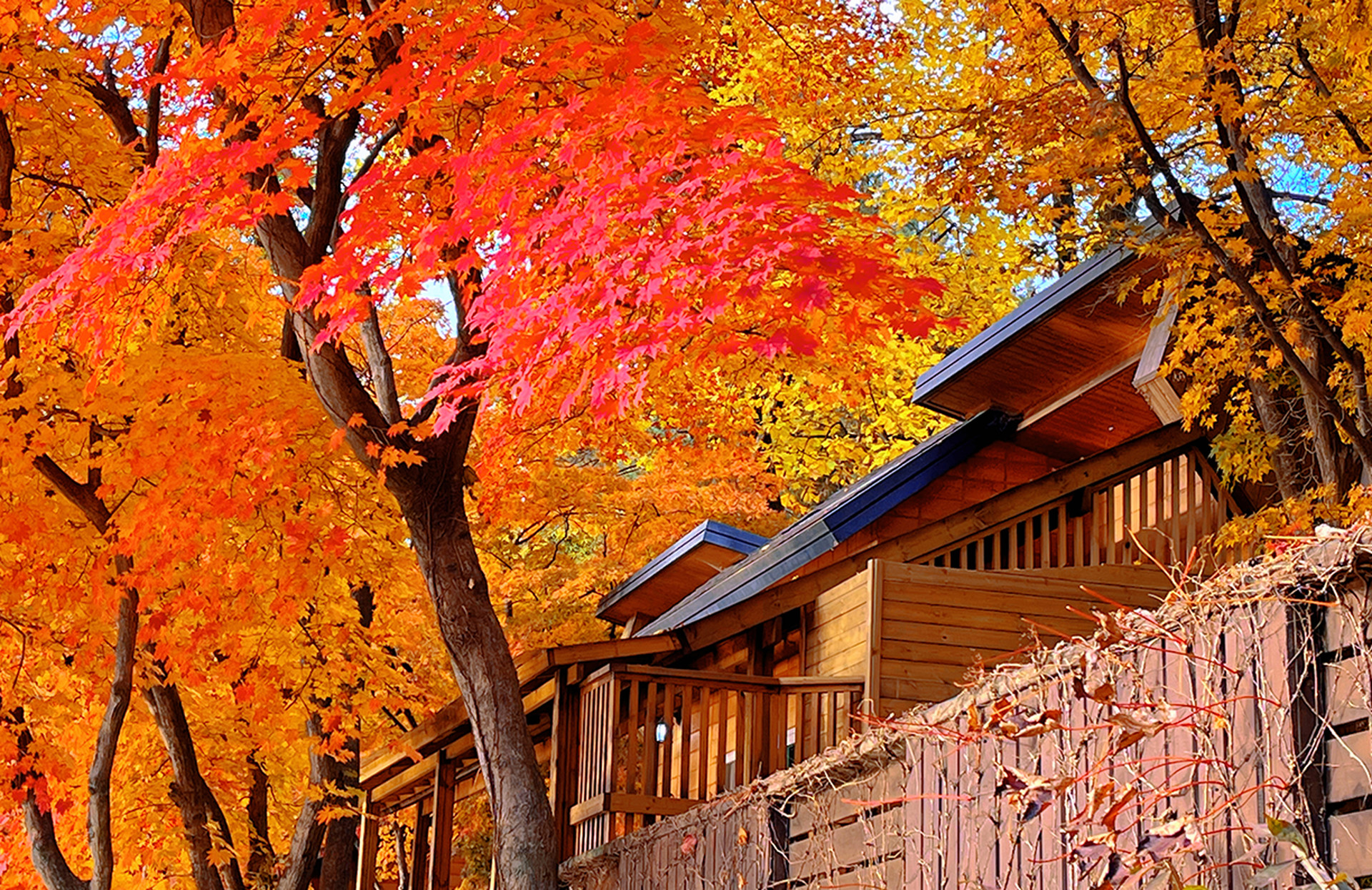 남이섬 숙박(숙소) 호텔정관루
