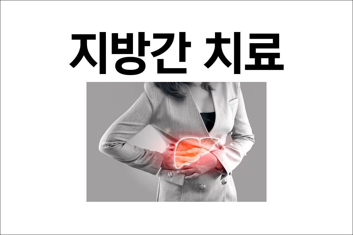 지방간 치료